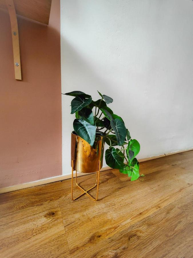 Charmant T2 Atypique, Renove, Confortable Beziers Exterior photo